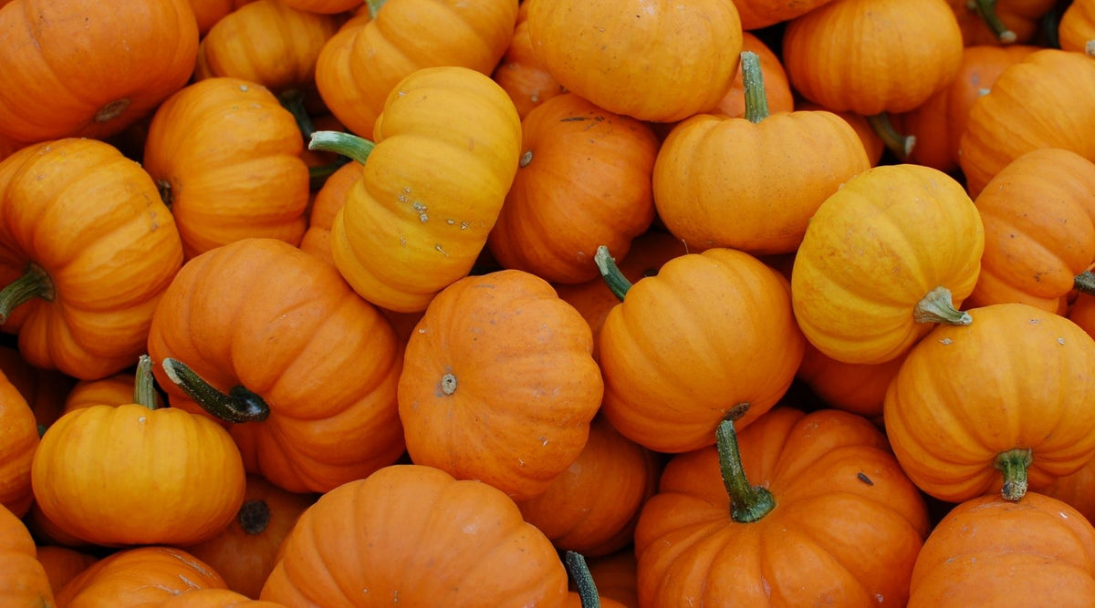 HAPPY OCTOBER!